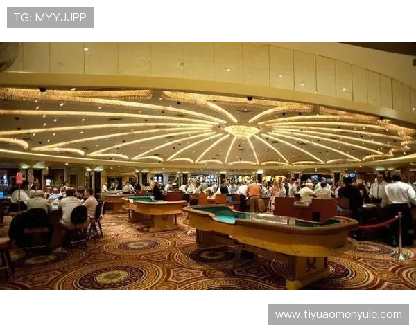 澳门新濠的场子布局详解,帮你了解每个场地的规模、娱乐项目和特色亮点